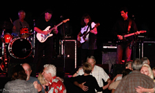 Blues Healers